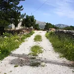 Tsakalaki