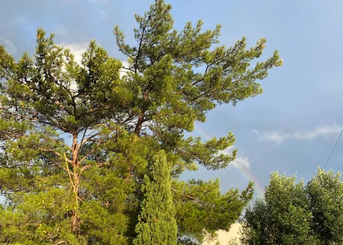 Tsakalaki Hébergement de vacances Stavríon